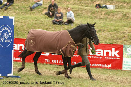 20080525_pozegnanie_bretanii (17)